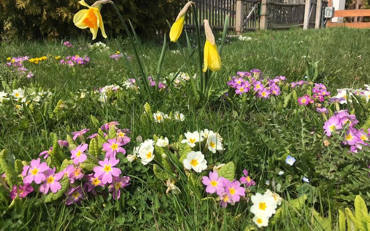 "Das neue Gartenjahr im Kleingartenverein Augustusburg e.V. hat begonnen" Beitragsbild