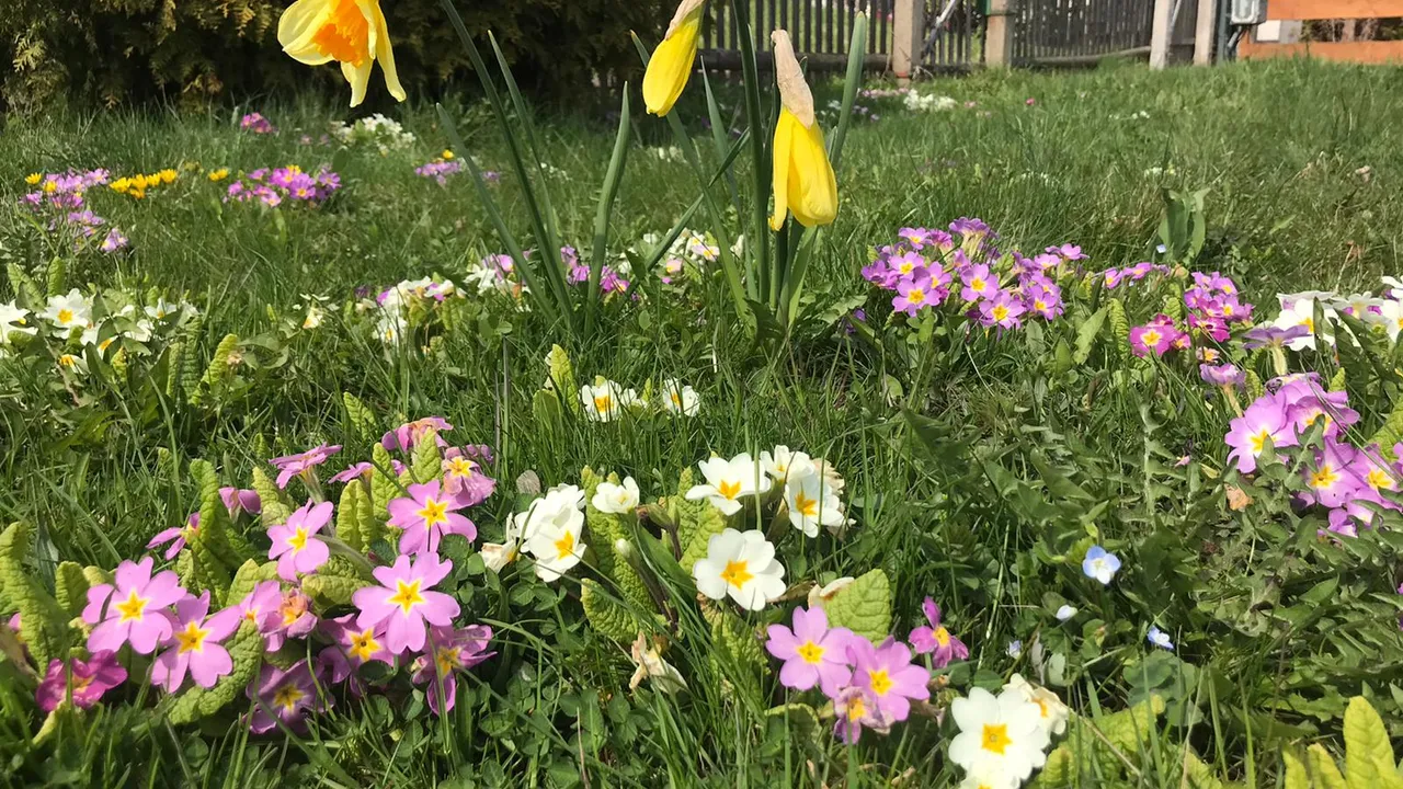"Das neue Gartenjahr im Kleingartenverein Augustusburg e.V. hat begonnen" Beitragsbild