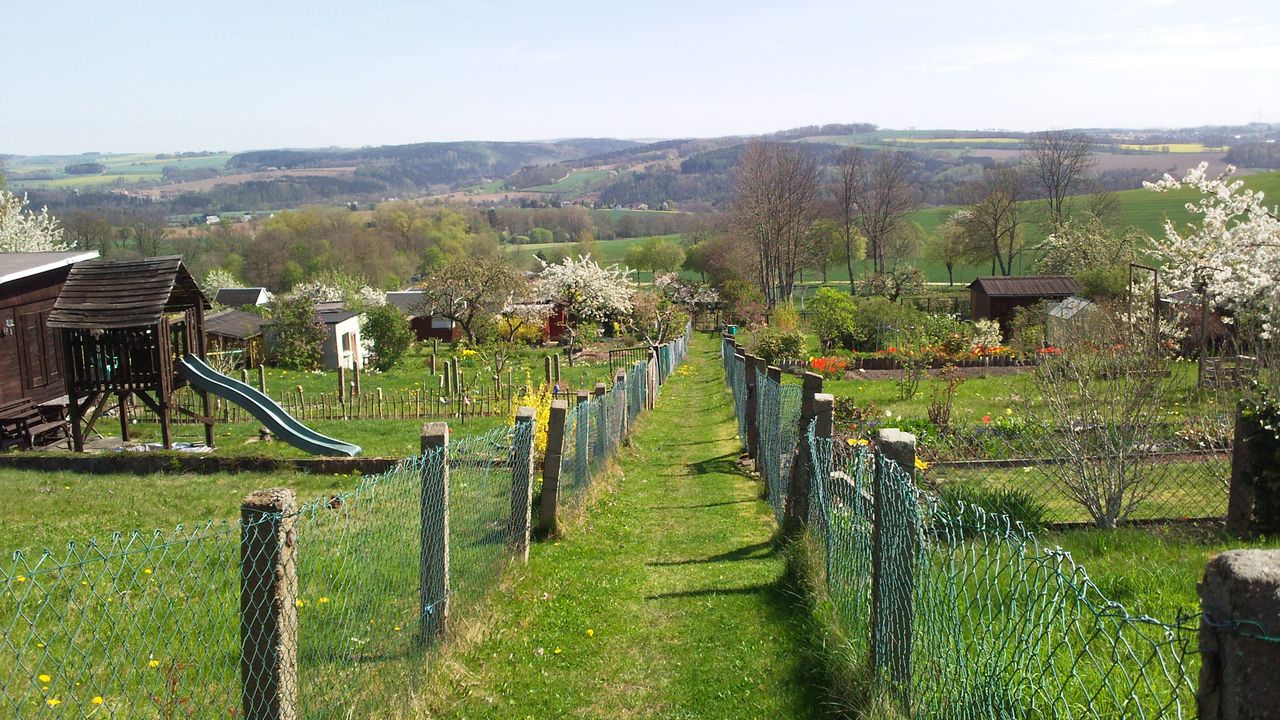 Wir freuen uns auf den Sommerbeginn im Kleingartenverein Augustusburg e.V. Artikel Bild