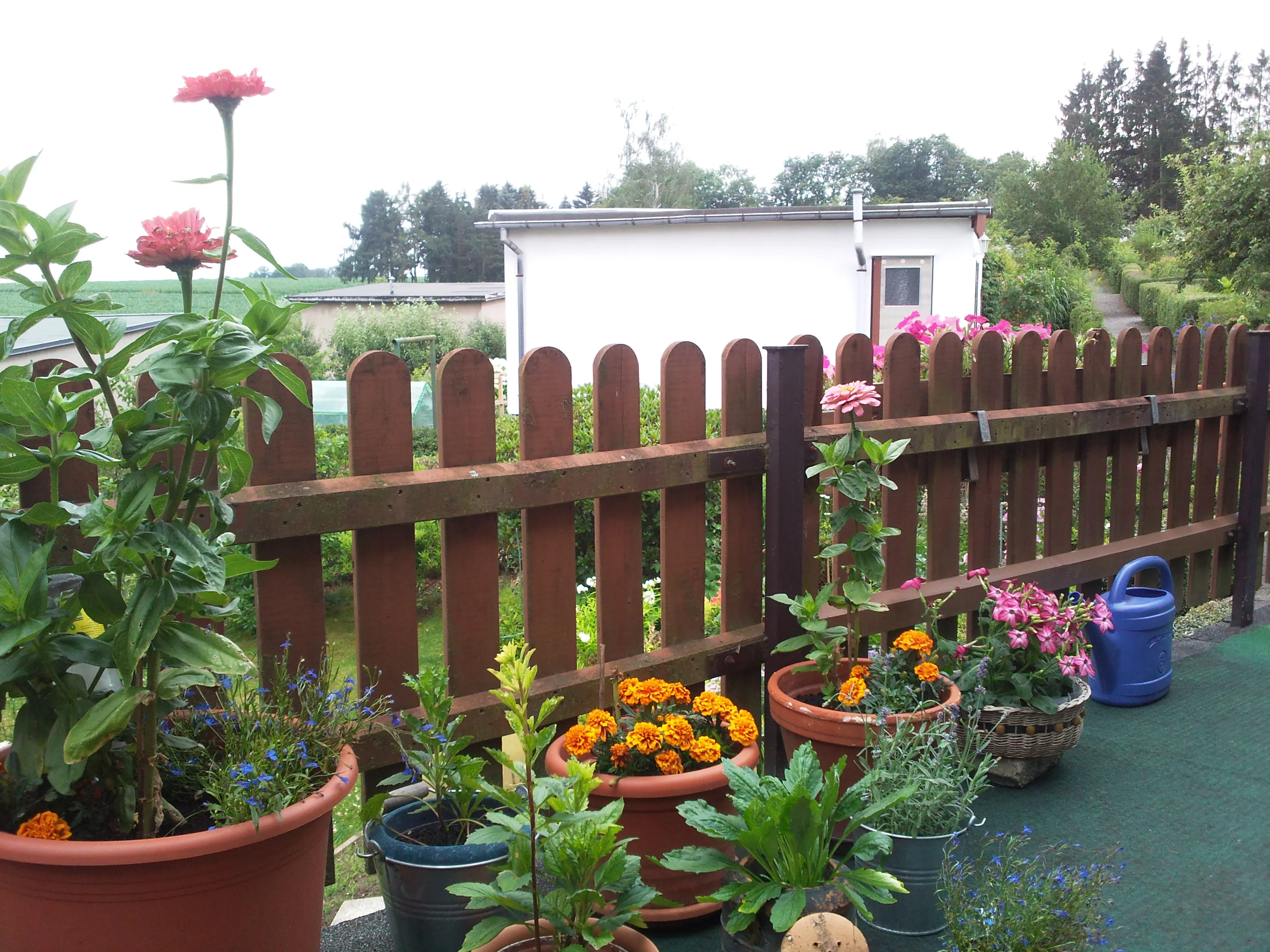Bild aus der Anlage Morgensonne 2